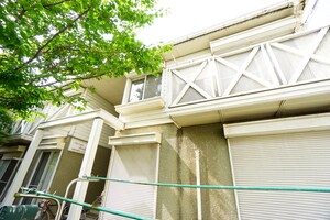 アメリカン　ビューティ