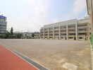 葛飾区立中青戸小学校(小学校)まで84m 青砥パ－クマンション９０