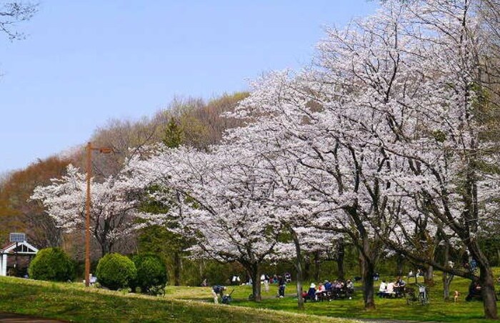 都立桜ヶ丘公園(公園)まで472m 聖ヶ丘ハイツ