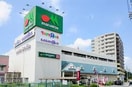 マルエツ(スーパー)まで198m タキハイツＡ棟