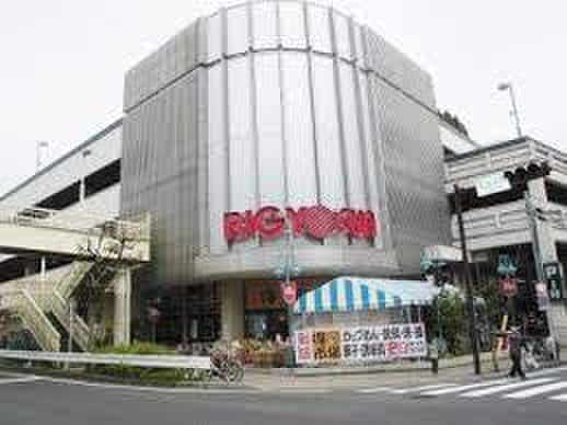BIG YOSUN(ビッグヨーサン) 東神奈川店(スーパー)まで260m ヴィレッジ　シダ－