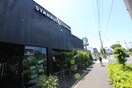 スターバックスコーヒー　多摩野猿街道店(カフェ)まで505m ハイネスユタカ
