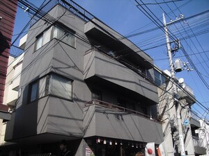 パインツリー(101)