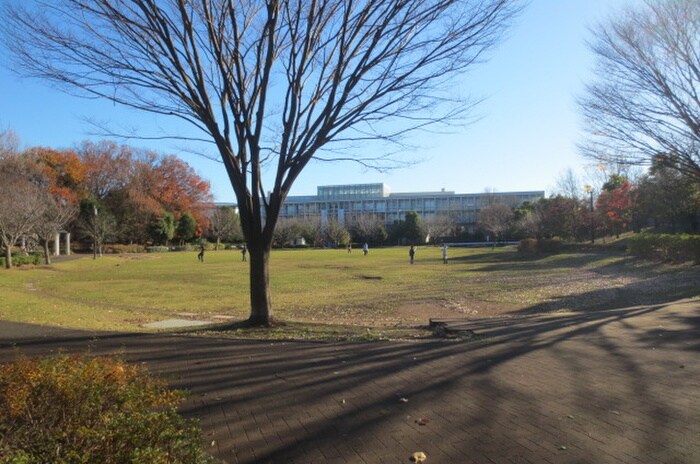 滝ヶ谷公園(公園)まで217m ルネス・プルミエ－ル