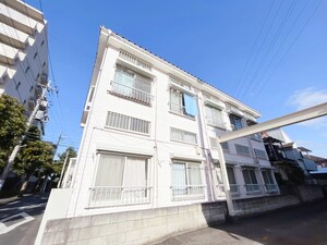 ハイツクリサンセマム