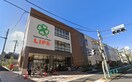 ライフ　西荻窪店(スーパー)まで114m シェモア西荻窪