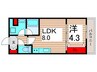 ＮＥＯグレイス綾瀬 1LDKの間取り