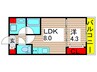 ＮＥＯグレイス綾瀬 1LDKの間取り