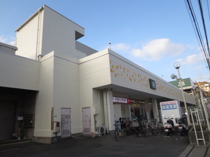 Fuji野比店(スーパー)まで650m コーホﾟホーエー３