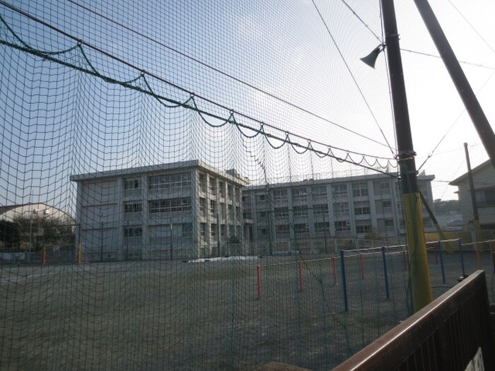 野比小学校(小学校)まで842m コーホﾟホーエー３