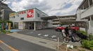 スギ薬局　上井草店(ドラッグストア)まで125m サニーフラット