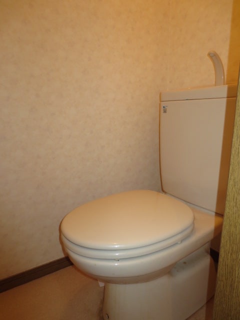 トイレ ハイムカケヒ