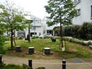 若林ふれあいひろば公園(公園)まで170m ジュネス若林