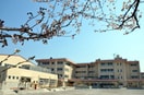 王禅寺中央小学校(小学校)まで500m 王禅寺ハウスD