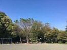 泉天ヶ谷公園(公園)まで491m フォ－シ－ズン２