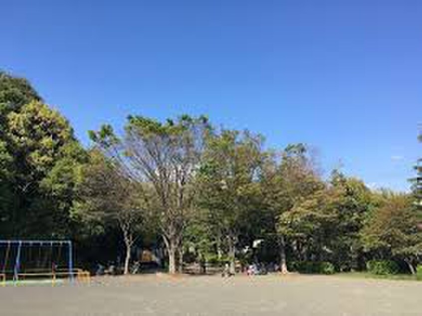泉天ヶ谷公園(公園)まで491m フォ－シ－ズン２