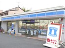 ローソン(コンビニ)まで209m ブルーエイト
