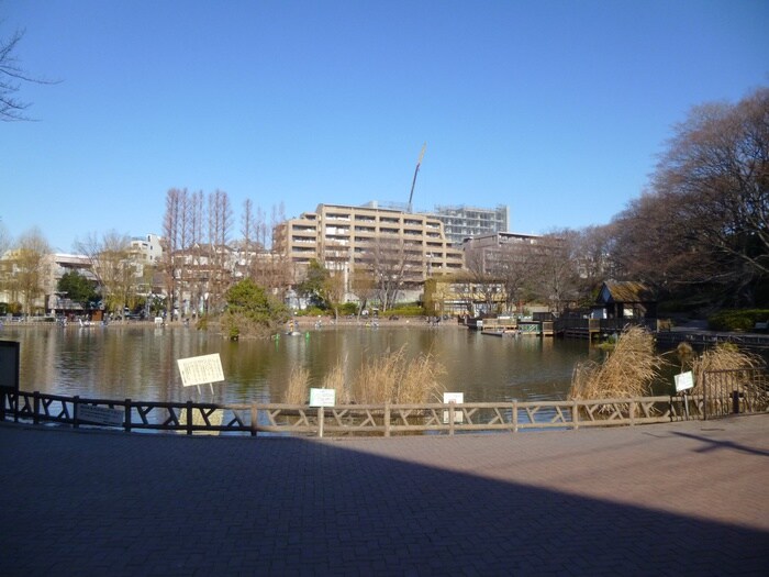 見次公園(公園)まで212m レオパレス志村坂上第１