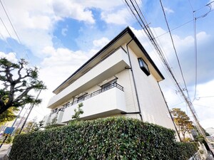 アルス国立