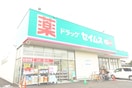 セイムス(ドラッグストア)まで630m サンライズ西立野