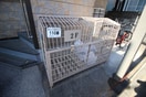建物設備 ｸﾞﾘｰﾝﾋﾞﾚｯｼﾞ