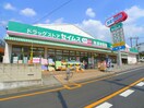 ドラッグセイムス 浦和根岸店(ドラッグストア)まで350m ディアス・ナンブ