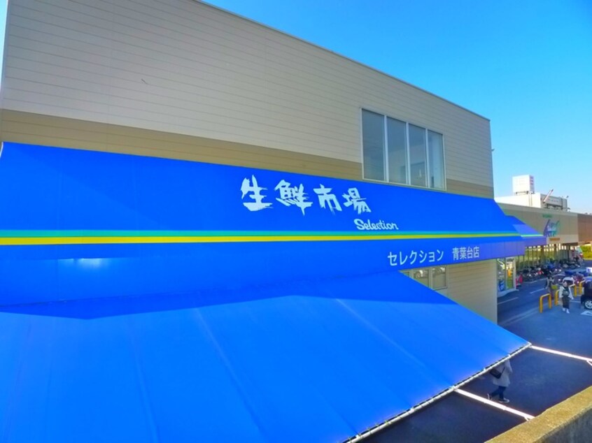 セレクション(ディスカウントショップ)まで1160m スガハラハイツ　B