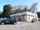 セブンイレブン座間入谷3丁目店(コンビニ)まで820m コ－ポいけのうえ