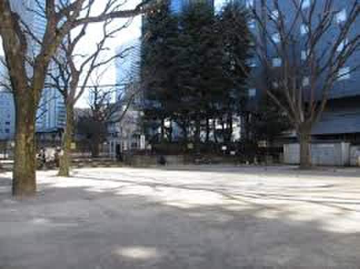 新宿区立柏木公園(公園)まで500m FIRM西新宿