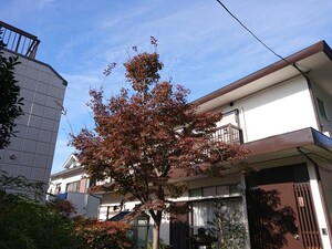 杉井ハイム