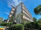 多摩ﾆｭｰﾀｳﾝﾌﾞﾗﾝﾆｭｰ別所8の外観