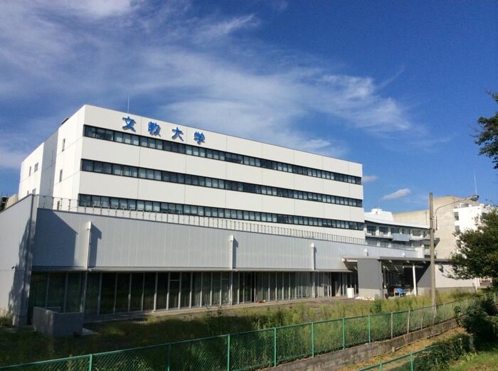 文教大学 越谷キャンパス(大学/短大/専門学校)まで1600m アパ－トメントノイ