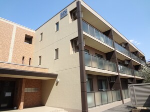 Navona.K (ﾅｳﾞｫｰﾅ･K)