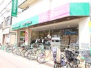 マルエツ　亀有店(スーパー)まで502m ｿﾚｲﾕｴｰ
