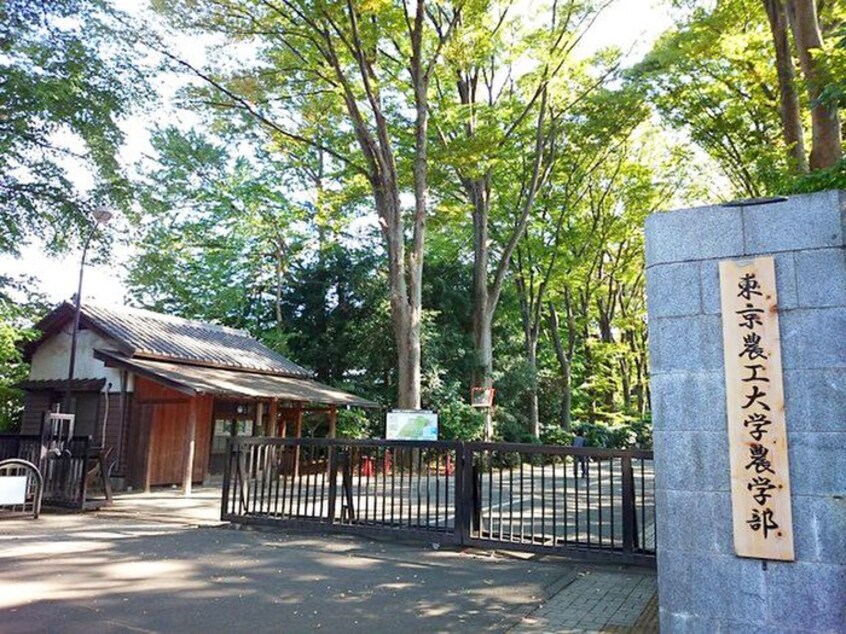 東京農工大学(大学/短大/専門学校)まで350m 川井荘