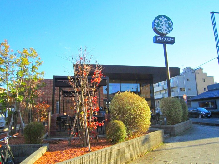 スターバックスコーヒー ふじみ野店(その他飲食（ファミレスなど）)まで250m 富士見野ビル