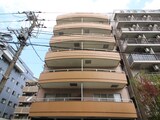 コンドミニアムリトルパント