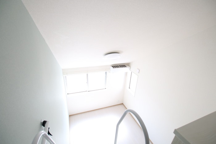 ロフト グラッサ花の木