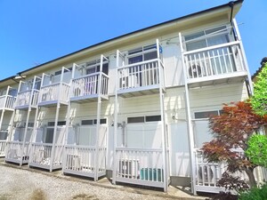 テラスアイビス