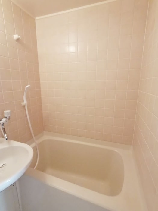 バス／シャワールーム等 ロイヤル山正２１