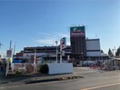 島忠(電気量販店/ホームセンター)まで650m HARU terrace 朝日