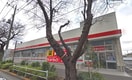 サンドラック　貫井坂下店(ドラッグストア)まで550m 和泉荘