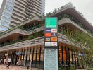 SOCOLA　武蔵小金井クロス(スーパー)まで1100m 和泉荘