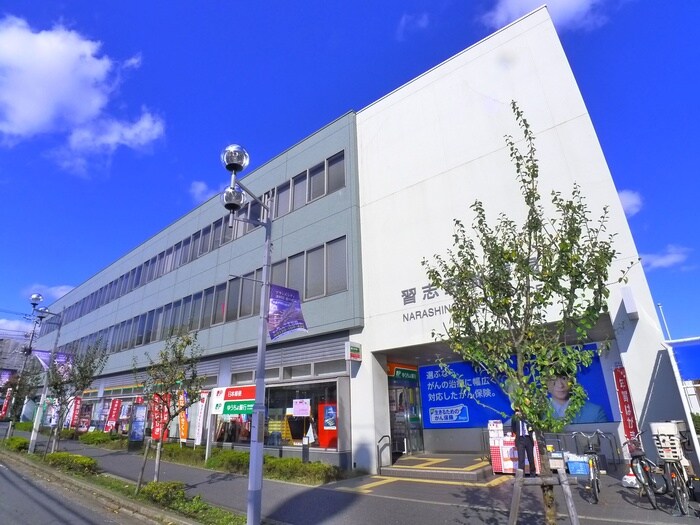 習志野郵便局(郵便局)まで700m コンフォート津田沼壱番館