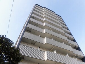 ｽﾃｲｼｽ川口