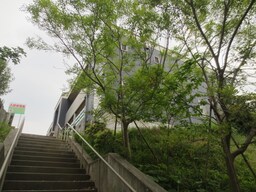 周辺環境