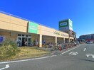 コープみらい コープ鎌ヶ谷店(スーパー)まで2600m 桜の丘ピアチェーレ