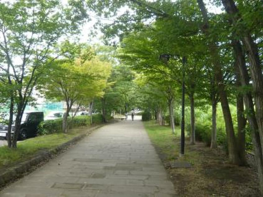 港北ニュータウン緑道３号(公園)まで130m サンビューノ仲町台
