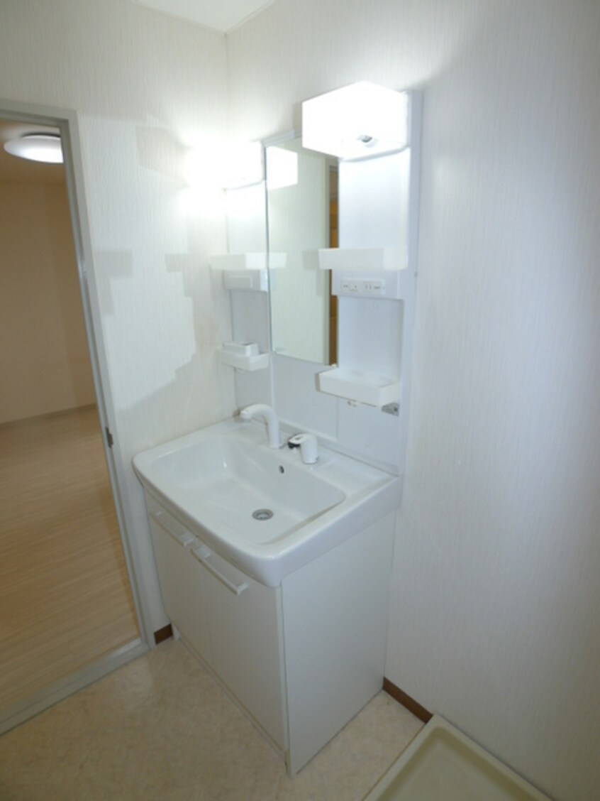 洗面 キャピタル南越