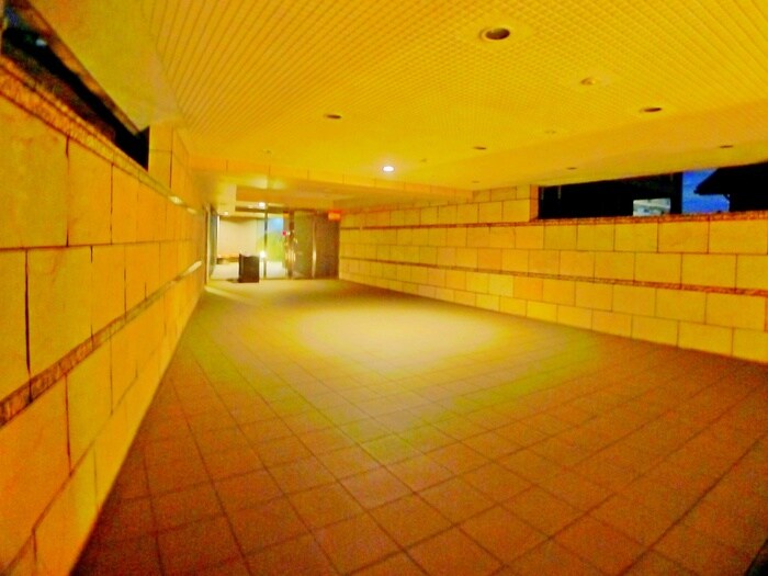 エントランス部分 INSURANCE BLDG.XVII
